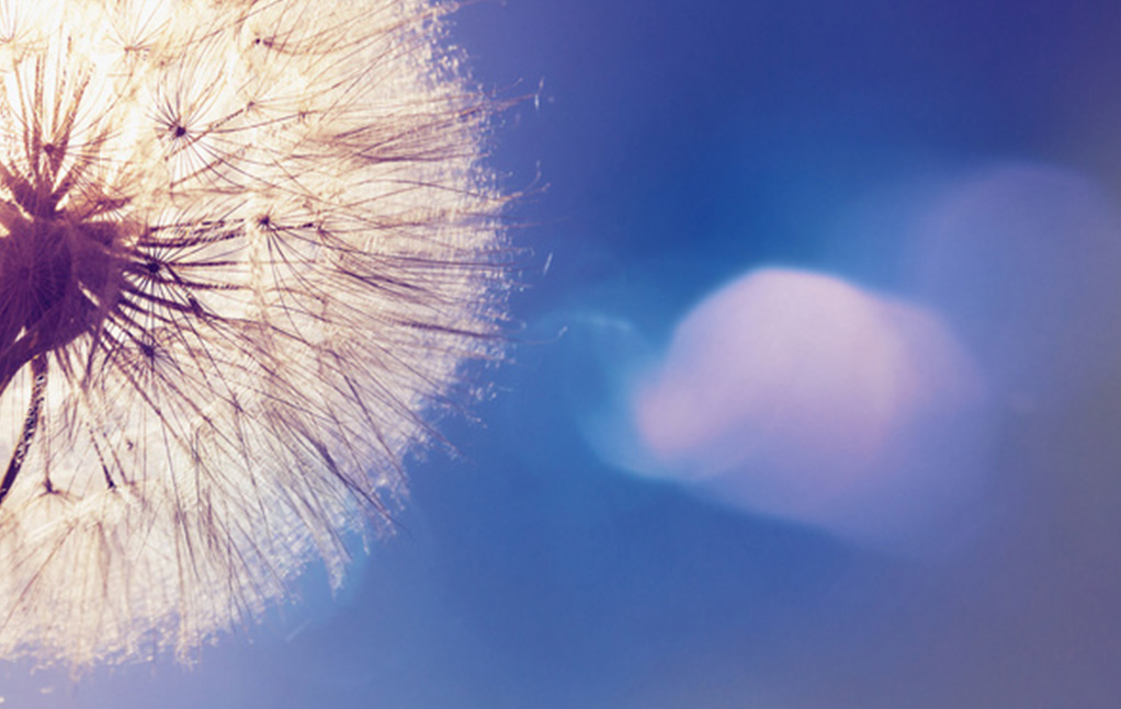 asiagame(中国集团)aisagaming